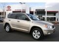2007 Savannah Metallic Toyota RAV4 4WD  photo #1