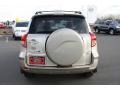 2007 Savannah Metallic Toyota RAV4 4WD  photo #3