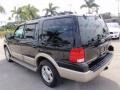2005 Black Clearcoat Ford Expedition Eddie Bauer  photo #10