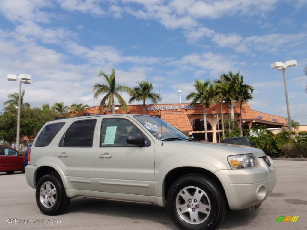 Gold Ash Metallic 2005 Ford Escape Limited Exterior Photo #43895417
