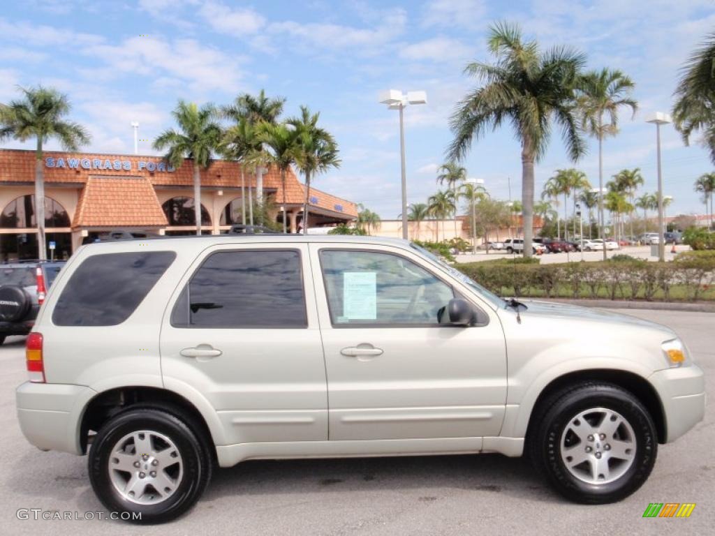 Gold Ash Metallic 2005 Ford Escape Limited Exterior Photo #43895477