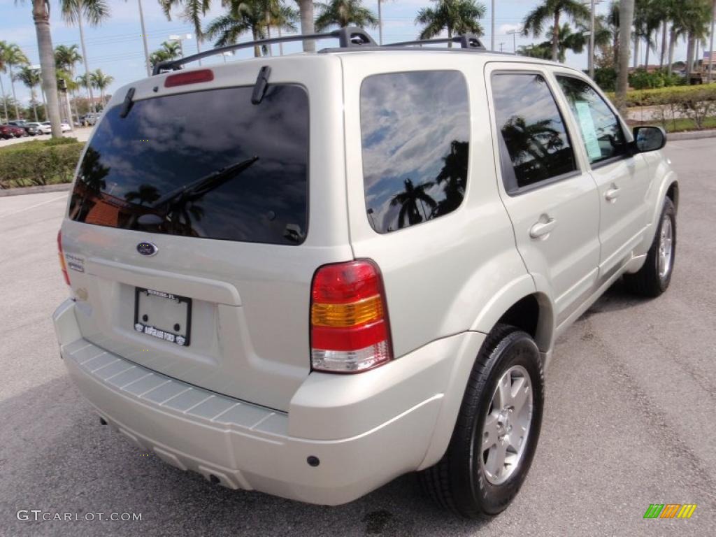 Gold Ash Metallic 2005 Ford Escape Limited Exterior Photo #43895489