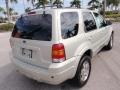 Gold Ash Metallic 2005 Ford Escape Limited Exterior