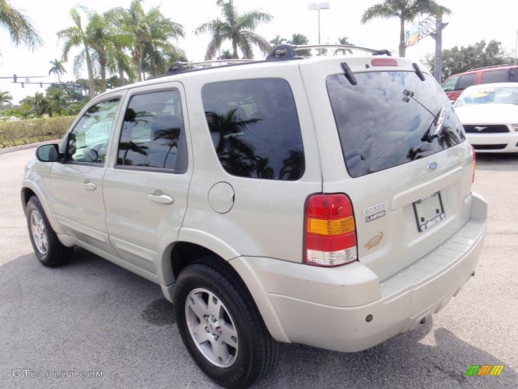 Gold Ash Metallic 2005 Ford Escape Limited Exterior Photo #43895541