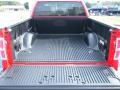 Steel Gray Trunk Photo for 2011 Ford F150 #43901341