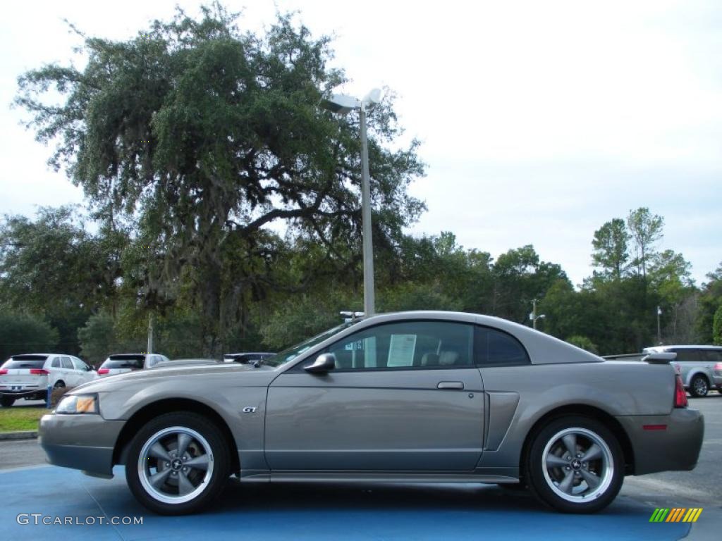 2002 Mustang GT Coupe - Mineral Grey Metallic / Medium Parchment photo #2