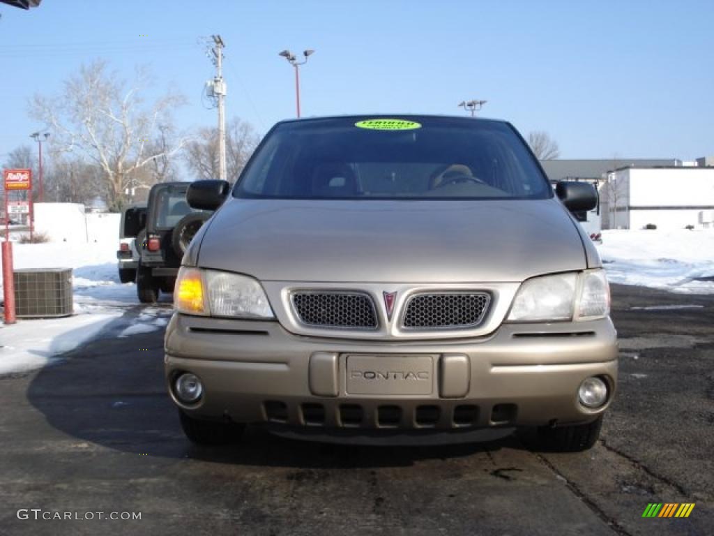 Light Taupe Metallic Pontiac Montana