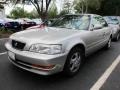 Granite Silver Pearl Metallic - TL 3.2 Photo No. 4