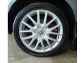 2007 Volkswagen GTI 2 Door Wheel and Tire Photo