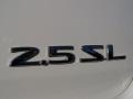 2004 Satin White Nissan Altima 2.5 SL  photo #10