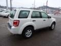 White Suede 2010 Ford Escape XLS 4WD Exterior