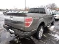 2011 Sterling Grey Metallic Ford F150 Platinum SuperCrew 4x4  photo #2