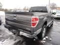 Sterling Grey Metallic - F150 XLT SuperCab 4x4 Photo No. 2