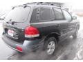 2006 Black Obsidian Hyundai Santa Fe GLS  photo #2