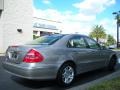 Pewter Metallic - E 320 Sedan Photo No. 6