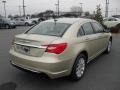 White Gold - 200 Touring Photo No. 4