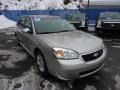 2007 Silverstone Metallic Chevrolet Malibu Maxx LT Wagon  photo #7