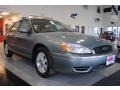 Light Tundra Metallic - Taurus SEL Photo No. 8