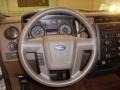 Medium Stone 2010 Ford F150 XLT SuperCrew Steering Wheel