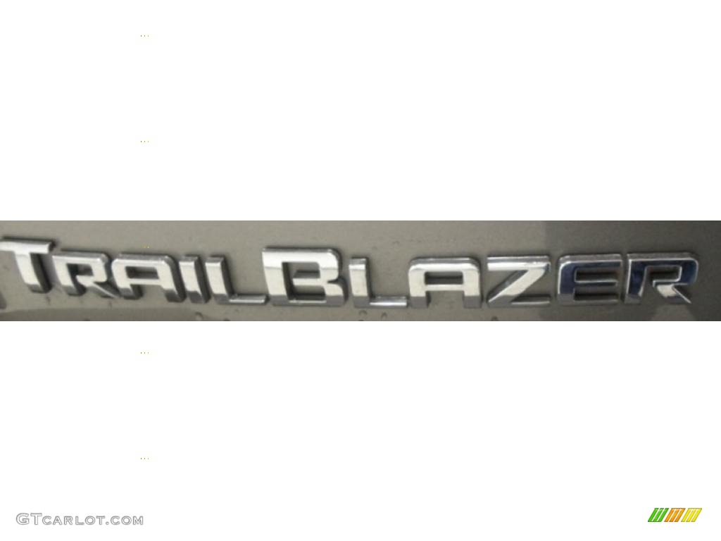 2008 TrailBlazer LS - Graystone Metallic / Light Gray photo #10
