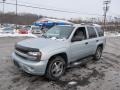 Moondust Metallic - TrailBlazer LS 4x4 Photo No. 5