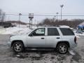 Moondust Metallic - TrailBlazer LS 4x4 Photo No. 6