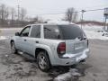 Moondust Metallic - TrailBlazer LS 4x4 Photo No. 7