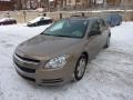 2008 Amber Bronze Metallic Chevrolet Malibu LS Sedan  photo #11