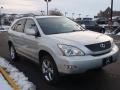 Millinnium Silver Metallic - RX 330 AWD Photo No. 3