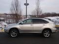 Millinnium Silver Metallic - RX 330 AWD Photo No. 6