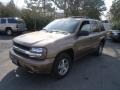 Sandalwood Metallic - TrailBlazer LS 4x4 Photo No. 1