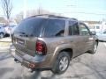 Sandalwood Metallic - TrailBlazer LS 4x4 Photo No. 5