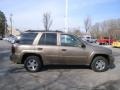Sandalwood Metallic - TrailBlazer LS 4x4 Photo No. 6