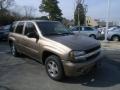 Sandalwood Metallic - TrailBlazer LS 4x4 Photo No. 7
