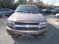 Sandalwood Metallic - TrailBlazer LS 4x4 Photo No. 8