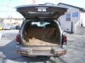 Sandalwood Metallic - TrailBlazer LS 4x4 Photo No. 11