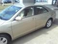 Desert Sand Mica - Camry LE Photo No. 20