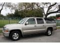 2001 Light Pewter Metallic Chevrolet Suburban 1500 LT 4x4  photo #2