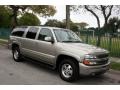 2001 Light Pewter Metallic Chevrolet Suburban 1500 LT 4x4  photo #12