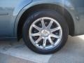 Magnesium Pearl - 300 C HEMI Photo No. 32
