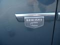 Magnesium Pearl - 300 C HEMI Photo No. 35