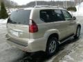 Savannah Beige Metallic - GX 470 Photo No. 5