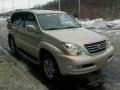 Savannah Beige Metallic - GX 470 Photo No. 6