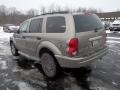 2004 Light Khaki Metallic Dodge Durango SLT 4x4  photo #9