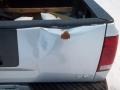 Radiant Silver - Titan XE King Cab Photo No. 11