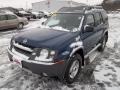 Just Blue Metallic 2002 Nissan Xterra XE V6 4x4