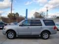 Pewter Metallic - Expedition Limited 4x4 Photo No. 5