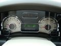 Stone Gauges Photo for 2008 Ford Expedition #43995746