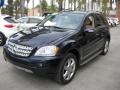 2007 Capri Blue Metallic Mercedes-Benz ML 350 4Matic  photo #8