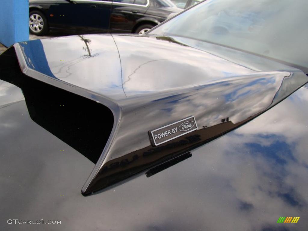 2007 Mustang V6 Premium Coupe - Black / Dark Charcoal photo #29